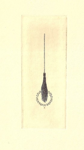 Rudolf zenziger kleingraphik - rudolf, zenziger: